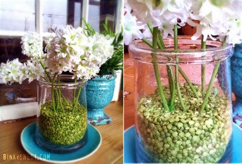 Split Peas For Vase Filler Great Easter Centerpiece Idea