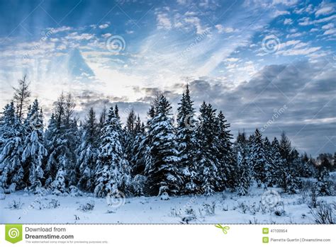 Cloudscape And Winter Scene Stock Photo Image 47100954