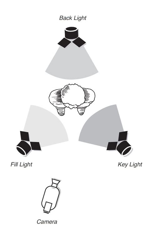 What Is Fill Light Definition Examples And Tutorials