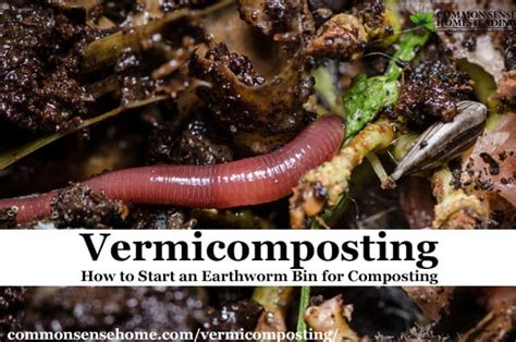 Vermicomposting How To Start An Earthworm Bin For Composting Total