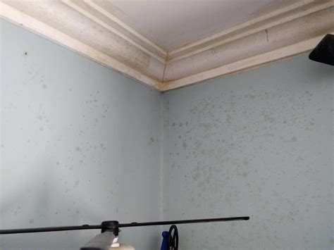 Yellow Spots Appearing On Ceilingwalls In My Bedroom Any Hint Or Tip Would Be Appreciated R