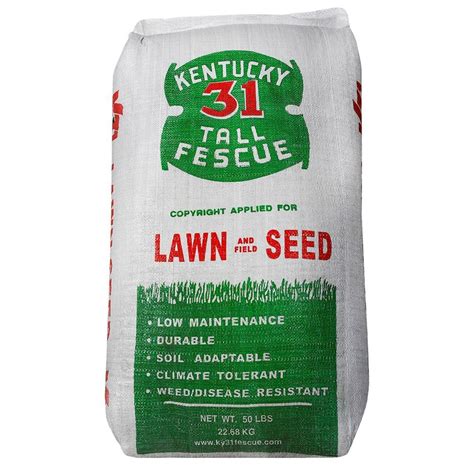 Kentucky 31 Fescue Seed 97 50lb Agri Supply 28412a Agri Supply