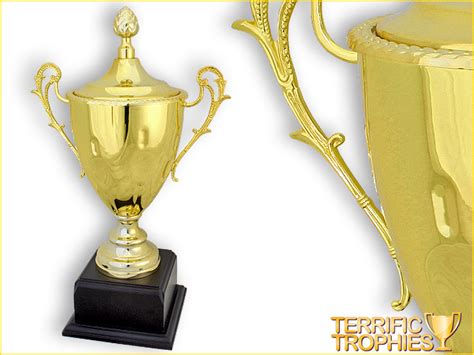 Gold Metal Cup Trophy With Cover Terrific Trophies