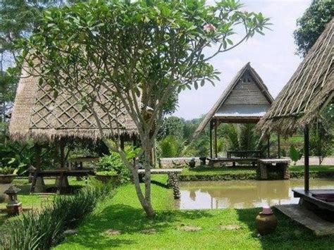Siapa bilang sawah tak bisa jadi pilihan tempat pelaminan? Desa Sawah Restoran & Villa Resort (Bogor) - Deals, Photos ...