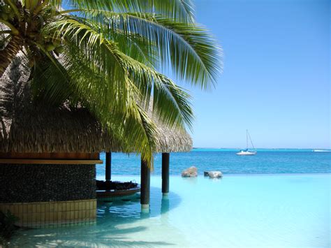 free Archives - Duncan.co