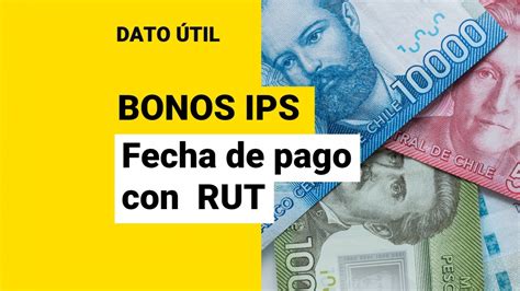 ¿eres Beneficiario Del Ips Conoce Con Tu Rut La Fecha De Pago De Bonos