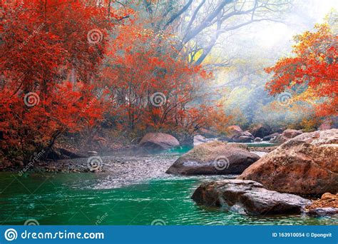 Hot Springs Onsen Natural Bath Surrounded By Red Yellow Leaves In Fall