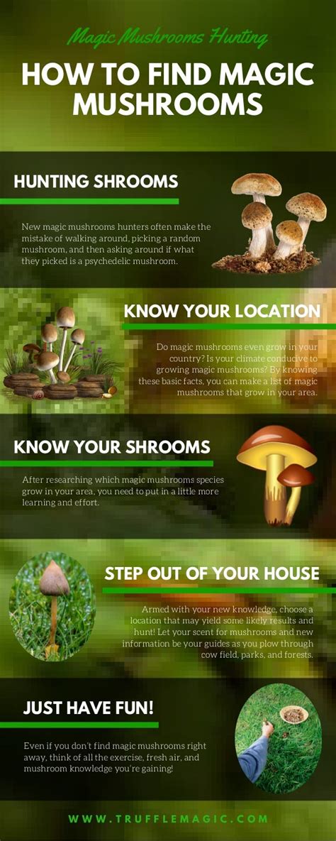 Magic Mushroom Field Guide All Mushroom Info