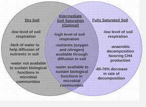What is climate change diagram. The Effects of Global Climate Change on Soil Respiration ...