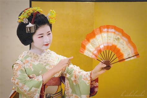 Maiko Show Kyoto All You Need To Know Before You Go