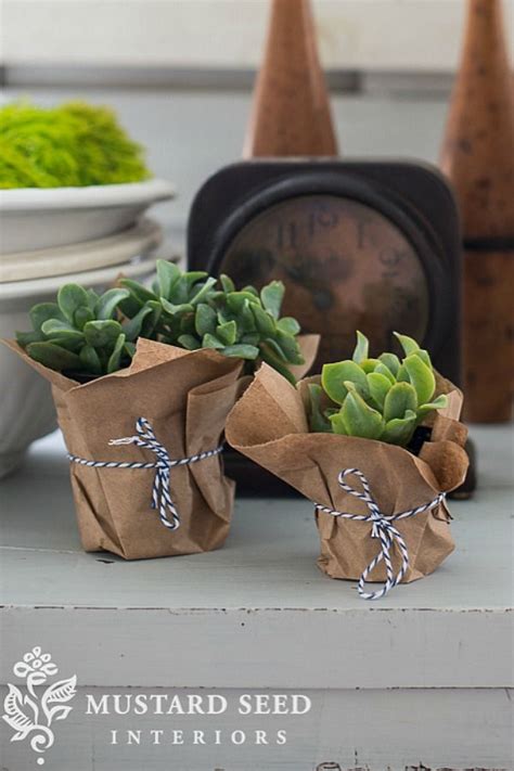 We did not find results for: Wrap plant pots with brown paper and tie with baker's ...