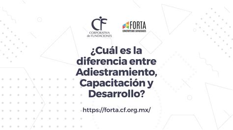 ¿cuál Es La Diferencia Entre Adiestramiento Capacitación Y Desarrollo