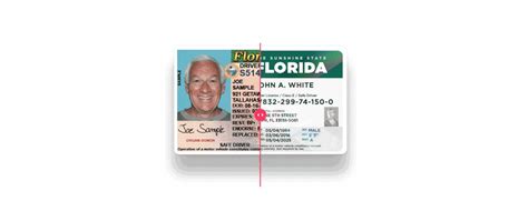 Redesign Florida Drivers License On Behance