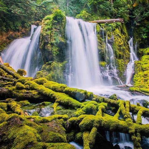 15 Amazing Waterfalls In Oregon The Crazy Tourist Oregon Waterfalls
