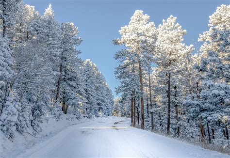 Snow Colorado Trees Winter Nature Wallpaper 2000x1379