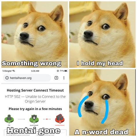 20 Meme Doge Sad