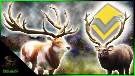 Diamond Sika And Monster Piebald Red Deer With The Longbow Call Of The