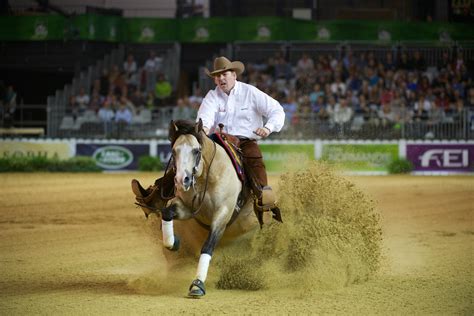 Reining At Weg What You Need To Know