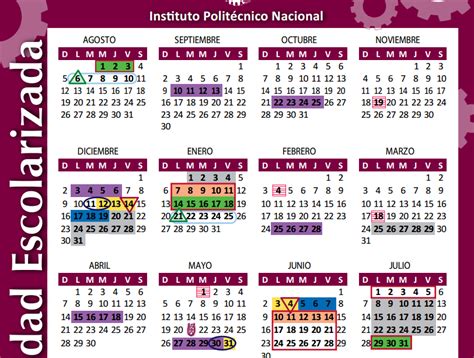 Calendario Fisiología Del Aparato Reproductor Masculino