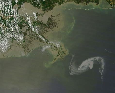 Smithsonian Rolls Out New Gulf Of Mexico Oil Spill Webpage Gulf Of