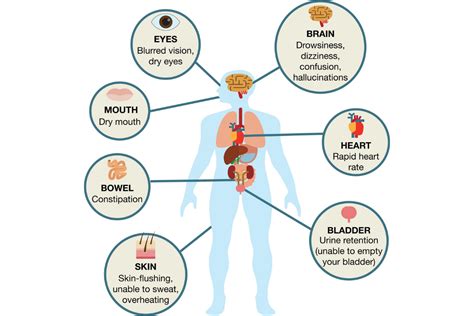 Effects Of Drugs On The Body