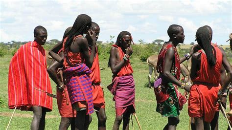 Les Massaï Délogés De Leurs Terres En Tanzanie