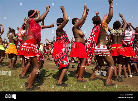 Zulu Reed Dance Im Enyokeni Palace Nongoma Südafrika Stockfotografie