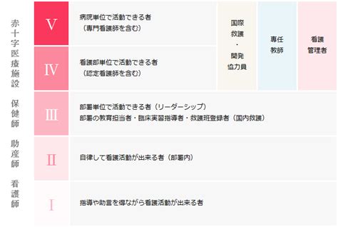 キャリア開発ラダー＜人材育成＞｜小川赤十字病院 看護部