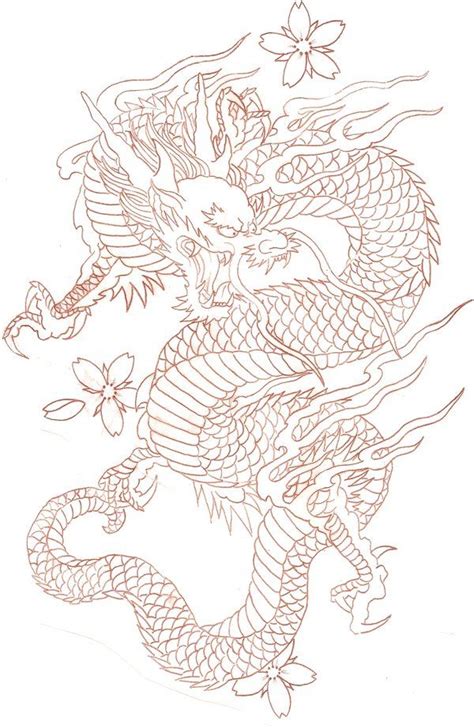 Traditional Dragon Tattoo Outline