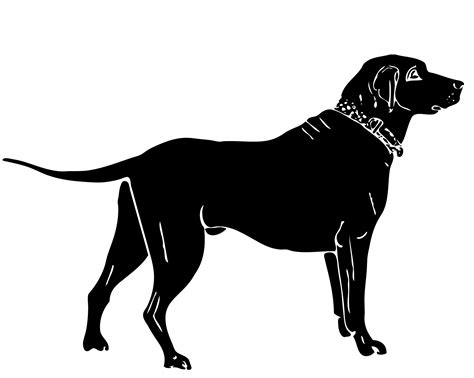 Dog Labrador Silhouette Free Stock Photo Public Domain Pictures