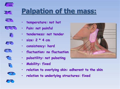 Ppt “head And Neck Masses” A Road Map Powerpoint Presentation Id2075442