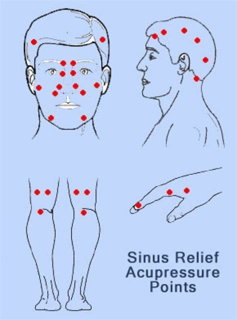 Acupressure Points For Sinus Relief Reflexology Acupressure
