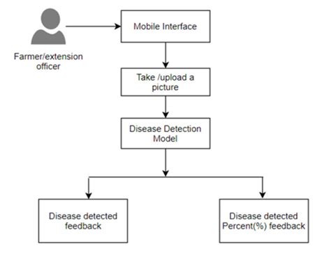 Activity Diagrams Of Users In Disease Detection Download Scientific