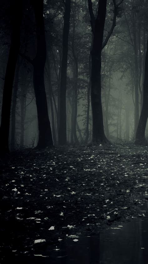 3840x2160 best hd wallpapers of dark, 4k uhd 16:9 desktop backgrounds for pc & mac, laptop, tablet, mobile phone. Dark Forest iPhone Wallpaper (74+ images)