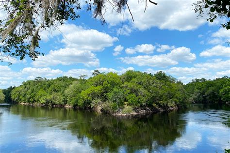 Suwannee River State Park History Live Oak Florida — South Of Seeds