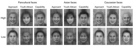 Pancultural Asian And Caucasian Face Averages Made From The 20 Faces