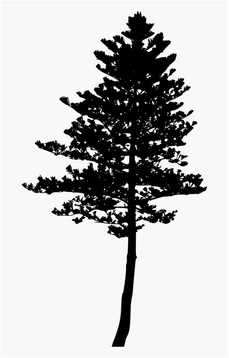 Pine Tree Silhouette Svg