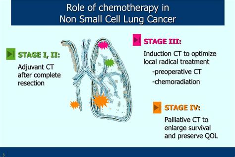 Ppt Non Small Cell Lung Cancer Powerpoint Presentation Free Download