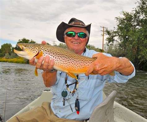 You might even grab one for the dog. Jackson Hole Fly Fishing Report- September 10, 2013