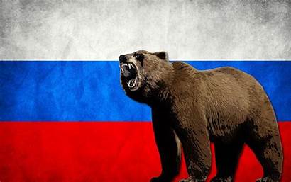 Russian Russia Flag Bears Wallpapers Bear Animal
