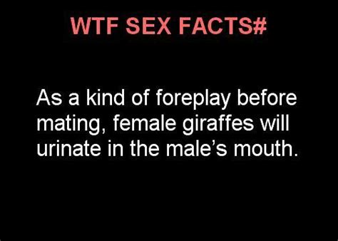 81 Best Wtf Sex Facts Images On Pinterest Random Facts Truths And Facts