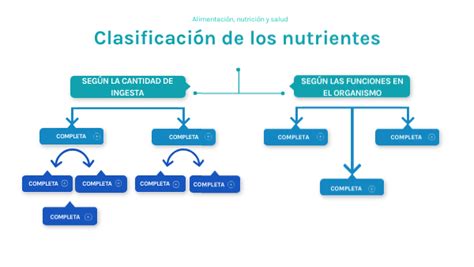 Clasificación De Los Nutrientes