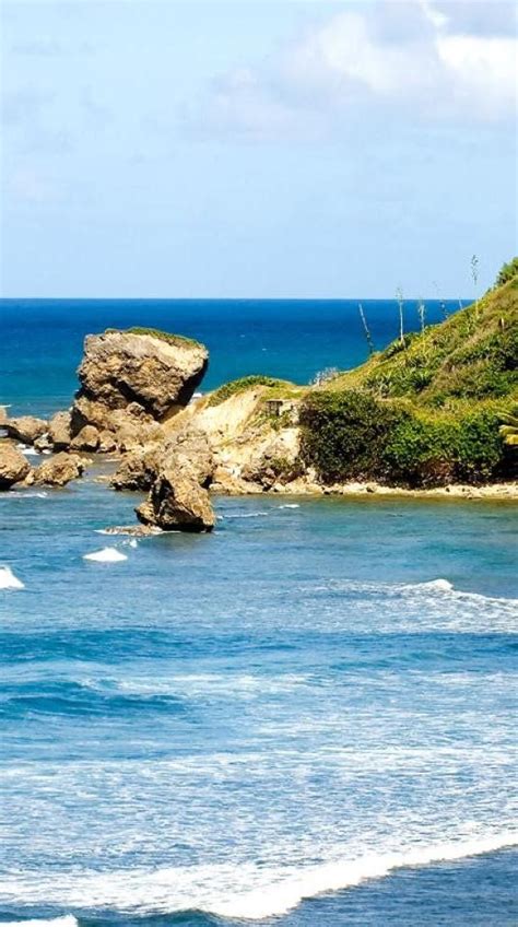 10 Best Beaches In Barbados Barbados Beaches Barbados Travel Barbados