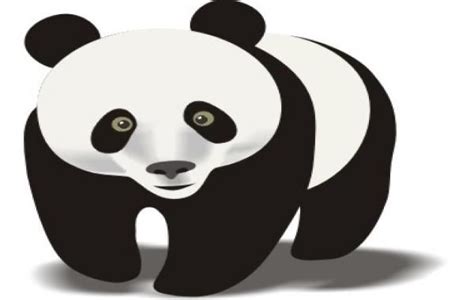 Panda Vector Download