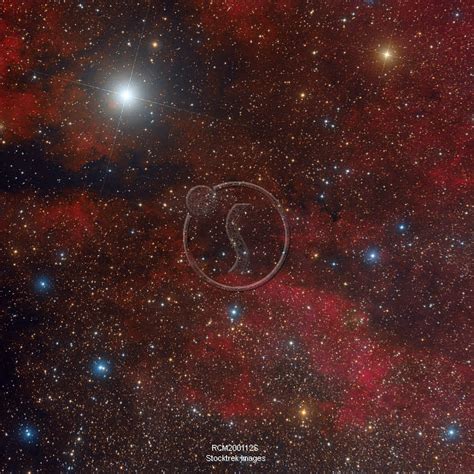 The Sadr Region In The Constellation Cygnus Stocktrek Images