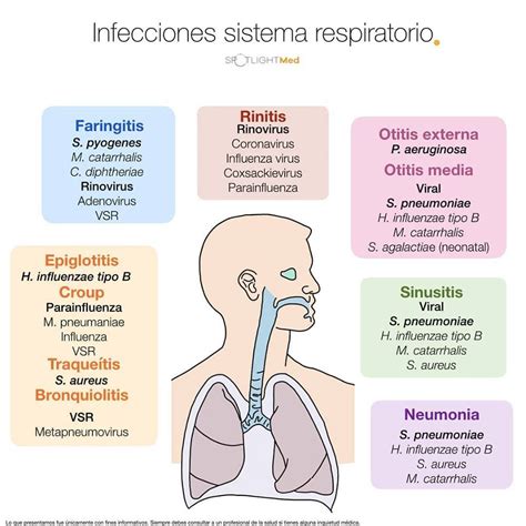 Doenças Do Sistema Respiratorio Causas Sintomas E Tratamento