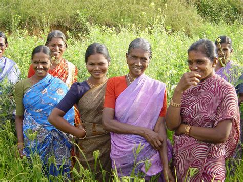 Members of a Indian women's group in a field of Finger Mil ...