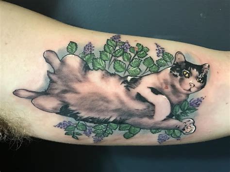 Benchmark Tattoo And Fade Away Laser Tattoos Nature Cat Portrait In