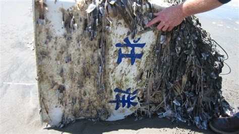 Tsunami Debris May Be Mixed In With The Local Trash At This Years Beach Cleanup Kqed