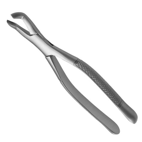 Devemed American Extract Extraction Forceps 222 Swallow Dental